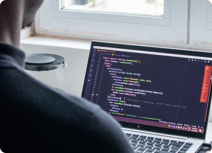 Professional Web Development